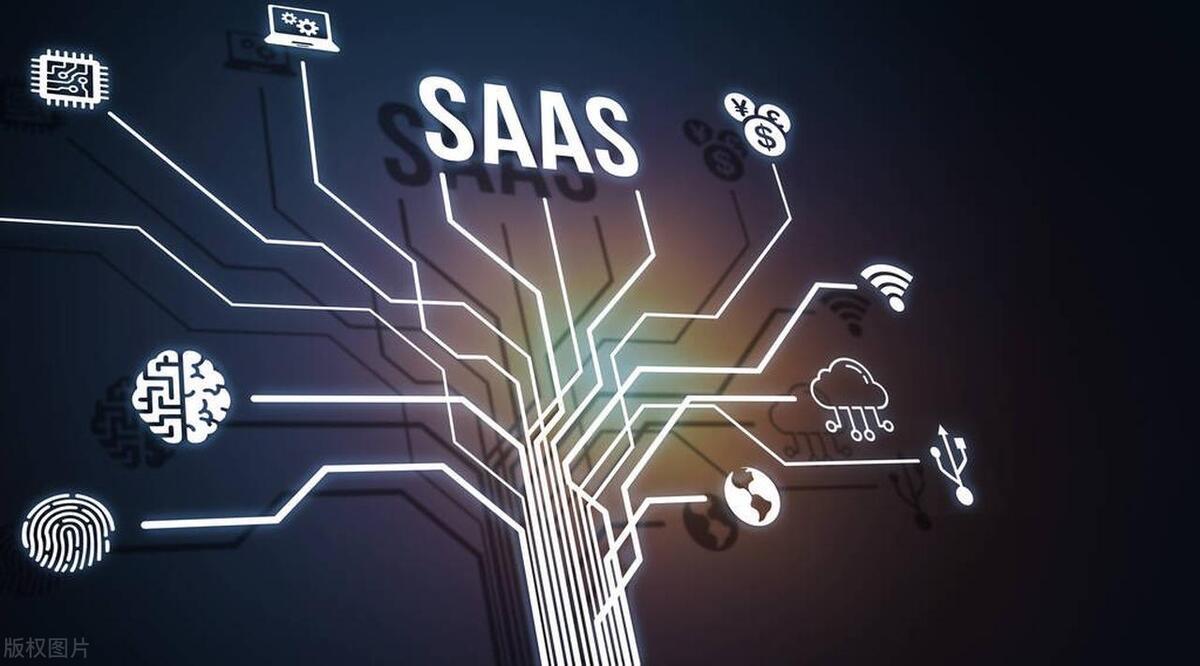 API驱动的SOA架构:Go与Rails协同的实践与考量